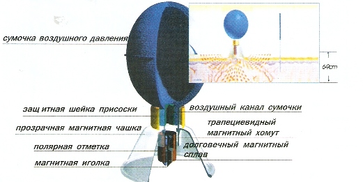 Магнитные банки акупункционного действия Promedic (12 шт.)